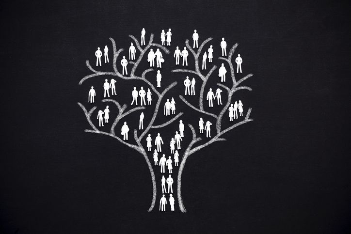 L’ADN remonte le temps : la généalogie et ses promesses.